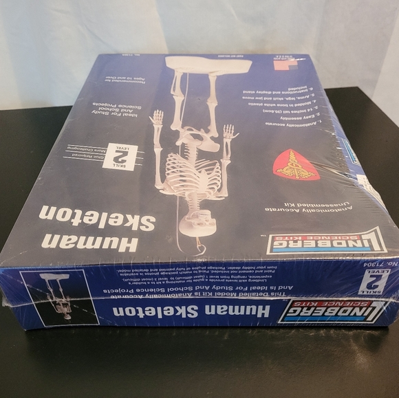 Lindberg Science Kits Human Skeleton Model Kit 71304 - Picture 3 of 5